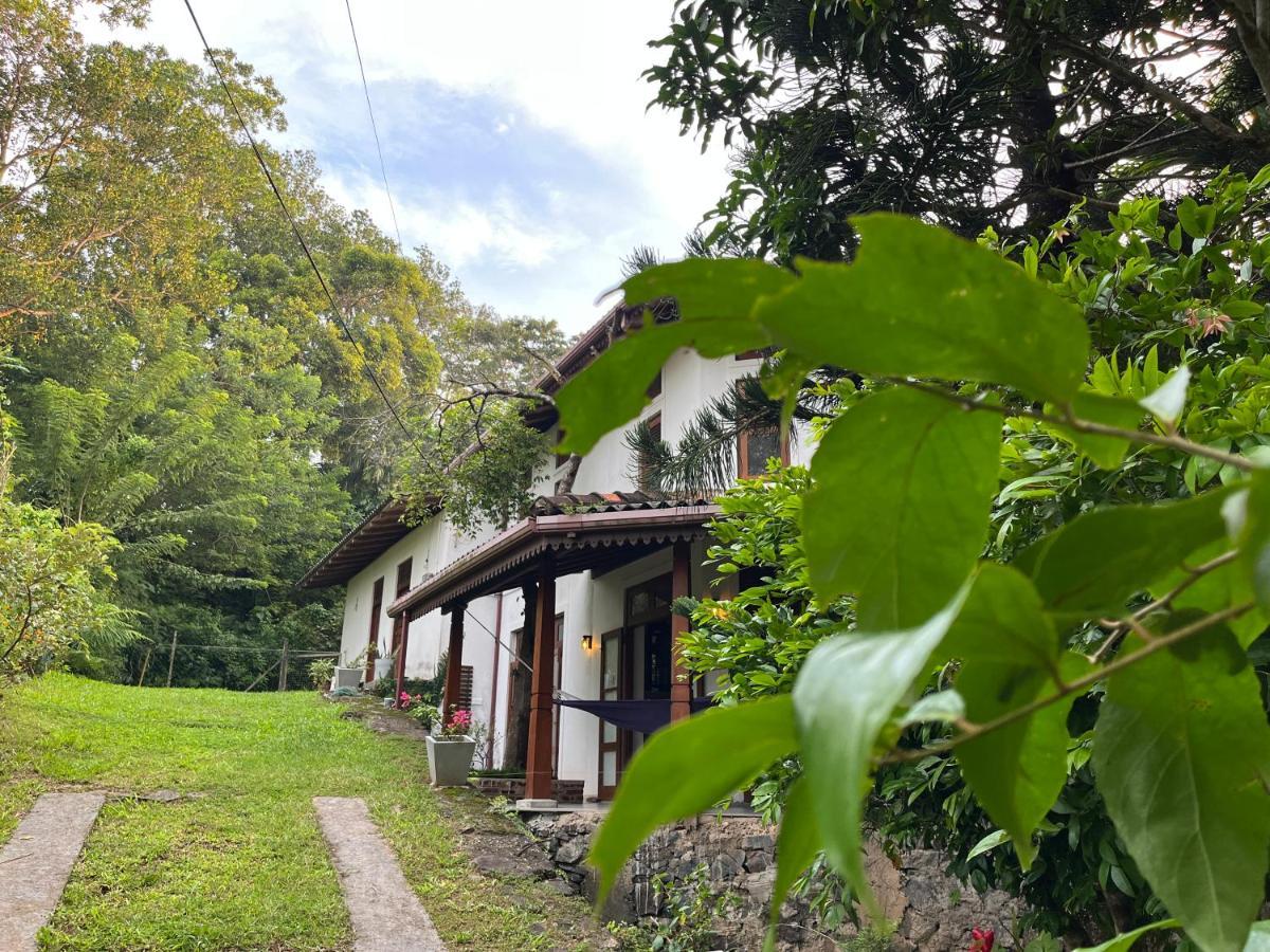 Villa Dinoos- Велигама Экстерьер фото